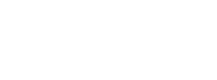 The Prolaio device array: weight scale, smartphone running the Prolaio app, ECG patch, cardiobracelet, and blood-pressure machine.
